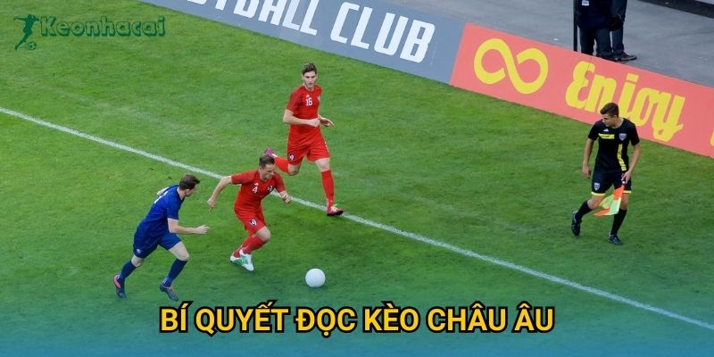 Bí quyết đọc kèo châu Âu Keonhacai – Hướng dẫn chi tiết cho người mới