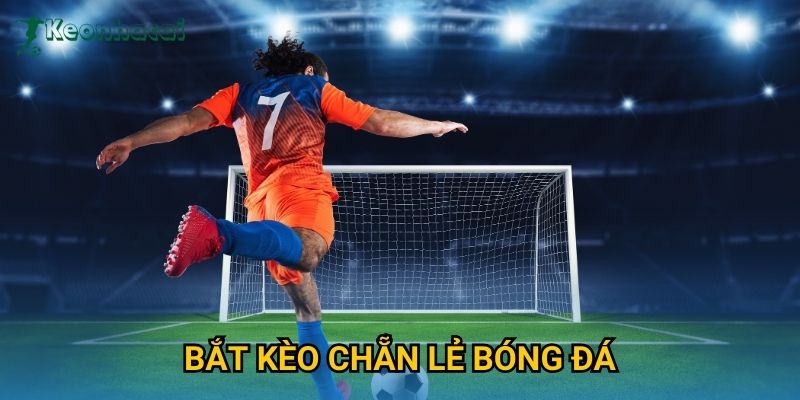 Bắt kèo chẵn lẻ bóng đá Keonhacai – Mẹo cược dễ hiểu cho người mới