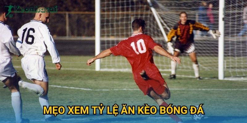 Mẹo xem tỷ lệ ăn kèo bóng đá Keonhacai – Hướng dẫn đọc odds nhanh